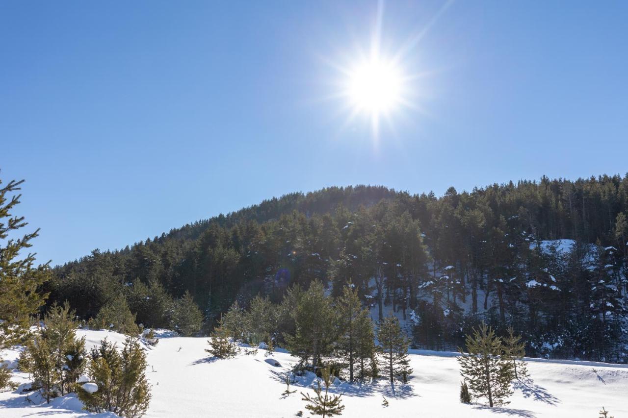 Vila Hanovi Zabljak Εξωτερικό φωτογραφία